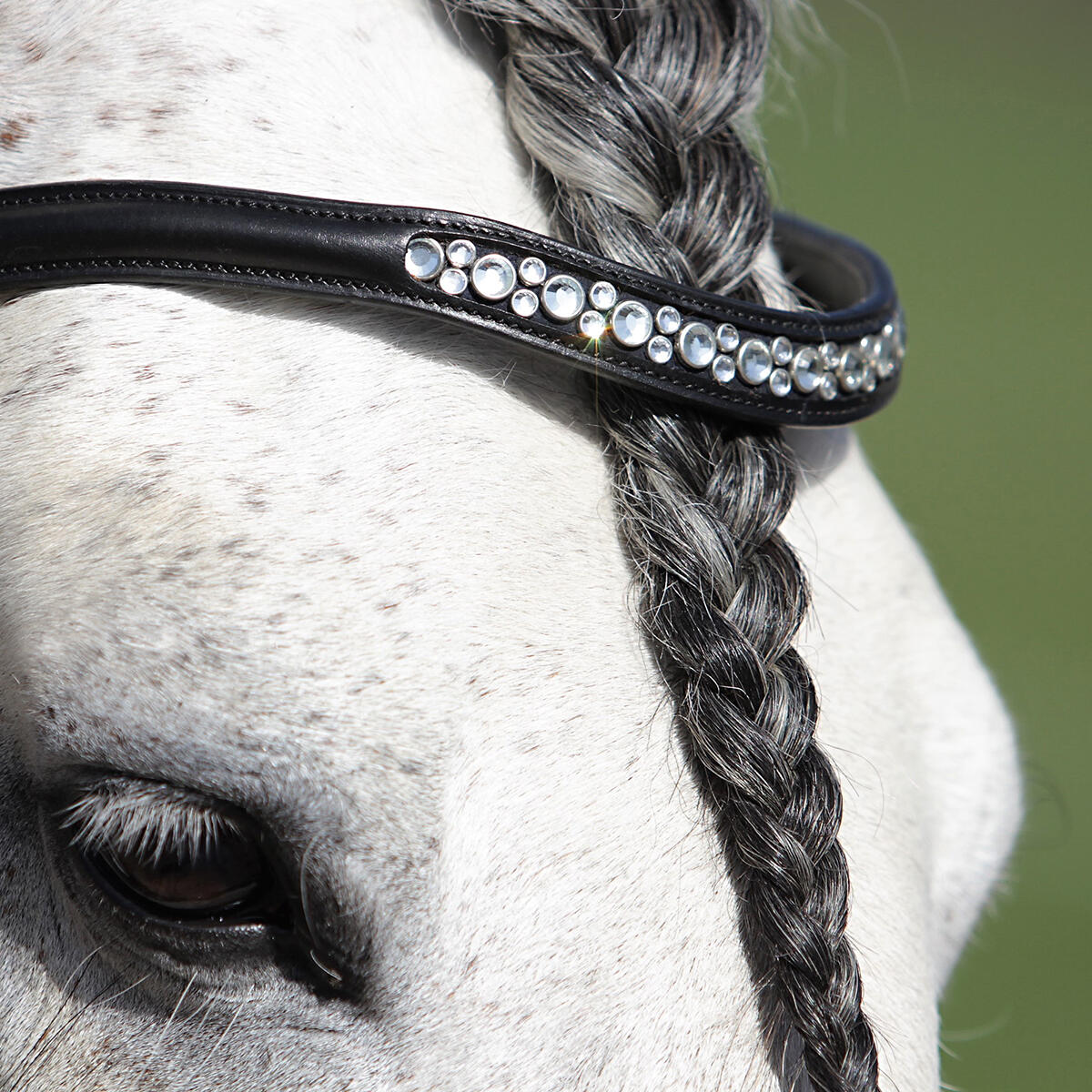 Bridon HGHonestus HORSEGEAR Noir 3/3