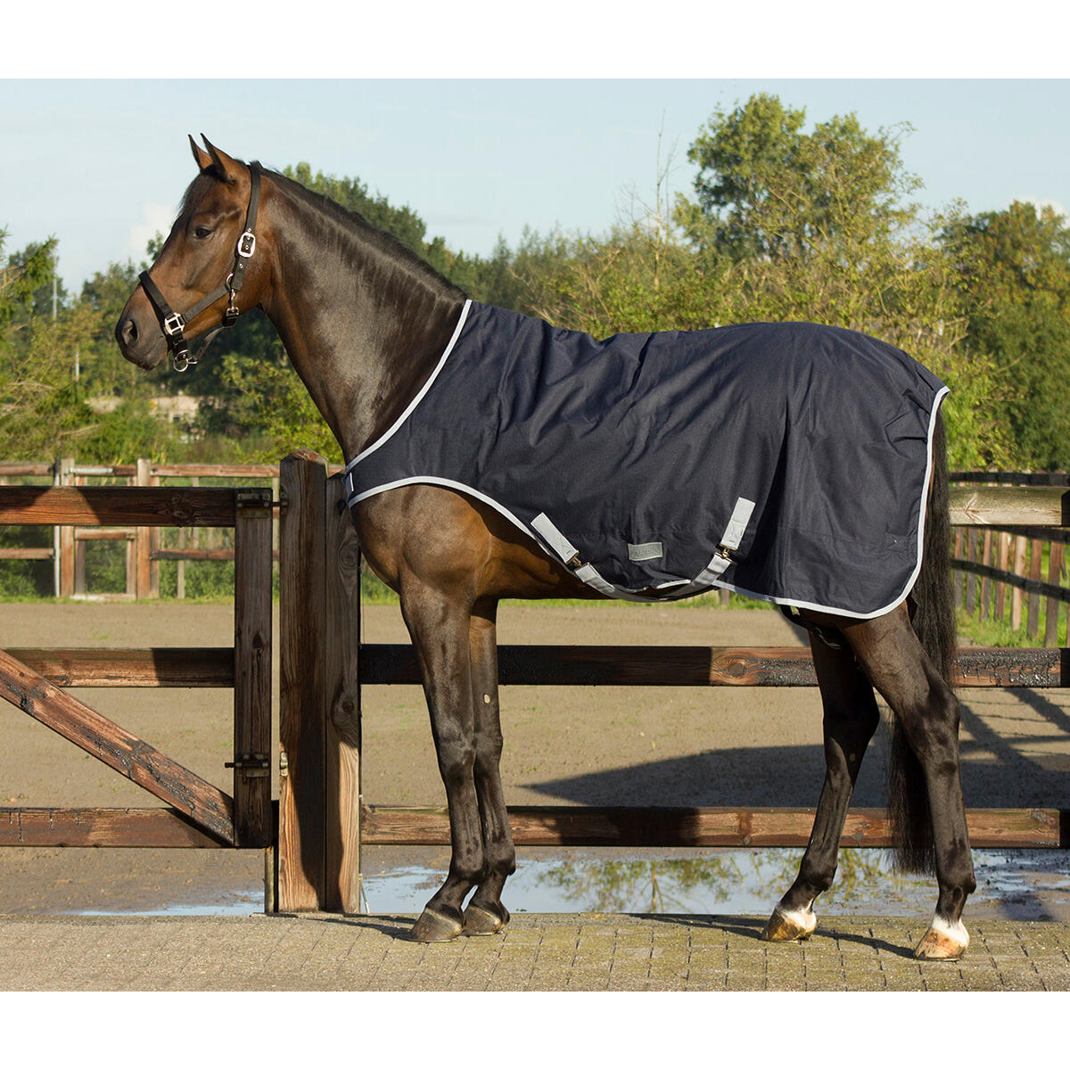 Couverture marcheur pour cheval QHP 0g 6/6