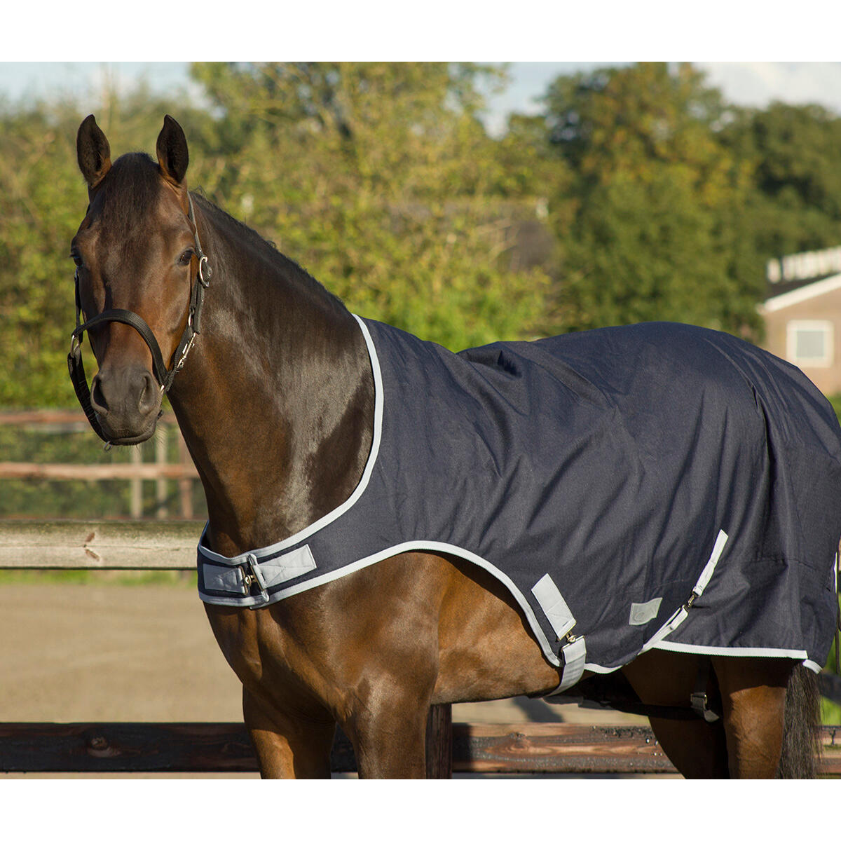 Couverture marcheur pour cheval QHP 0g 5/6
