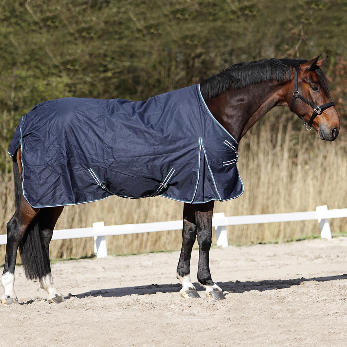 Couverture Colcha 200g HORSEGEAR Bleu foncé-vert 3/6