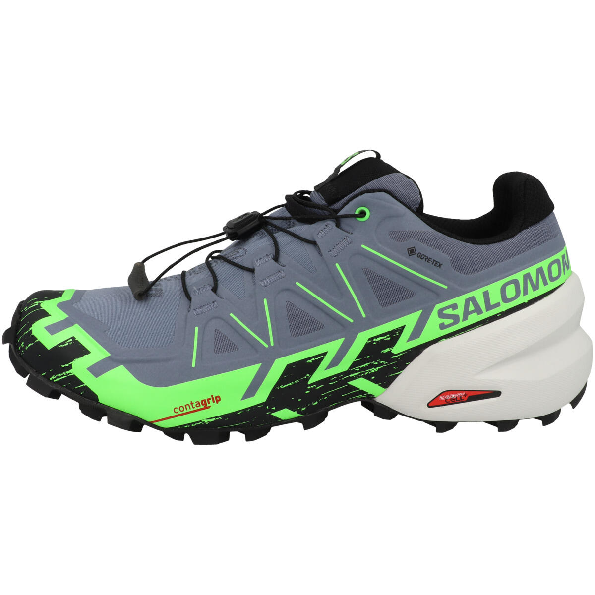 SALOMON picture