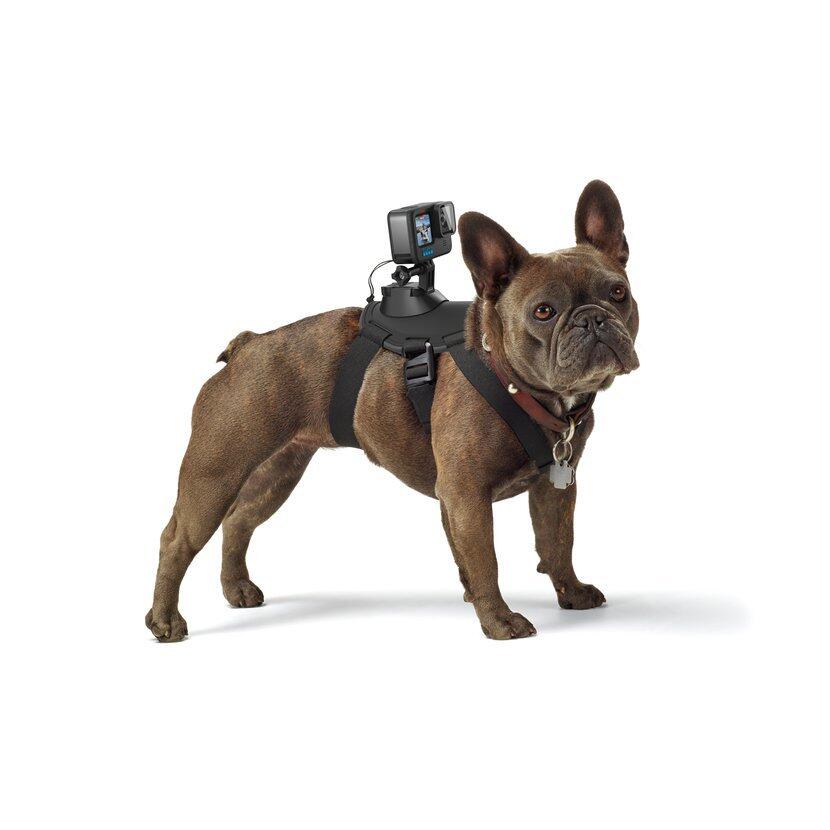 GOPRO Psí postroj pro kamery