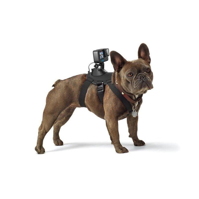 Psí postroj pro kamery GoPro