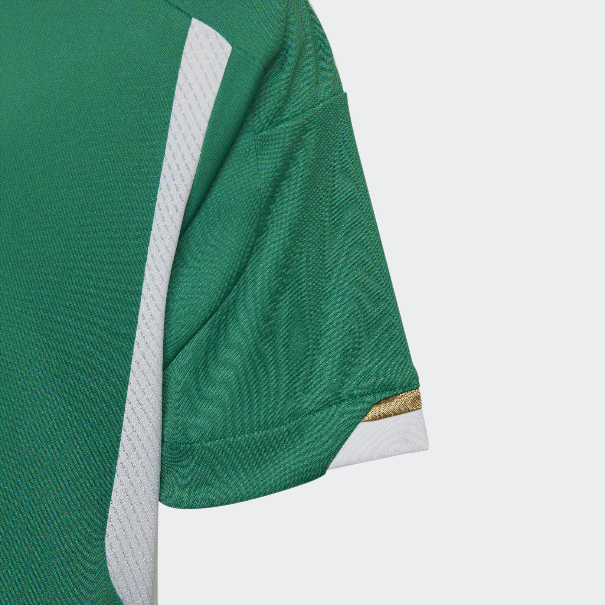 Venkovní dres Algeria 22 2/5