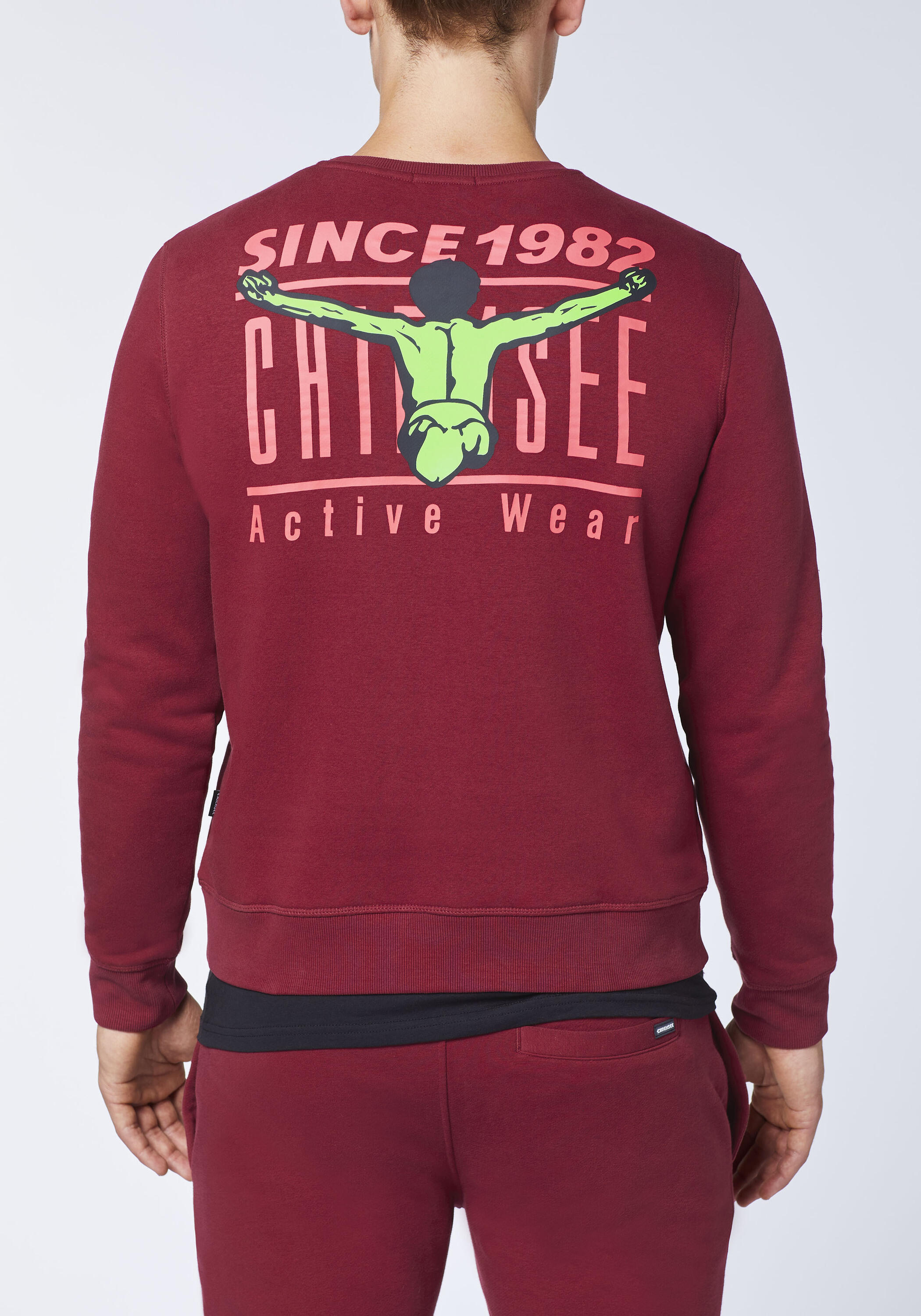 Sweatshirt mit Jumper-Motiven 7/7