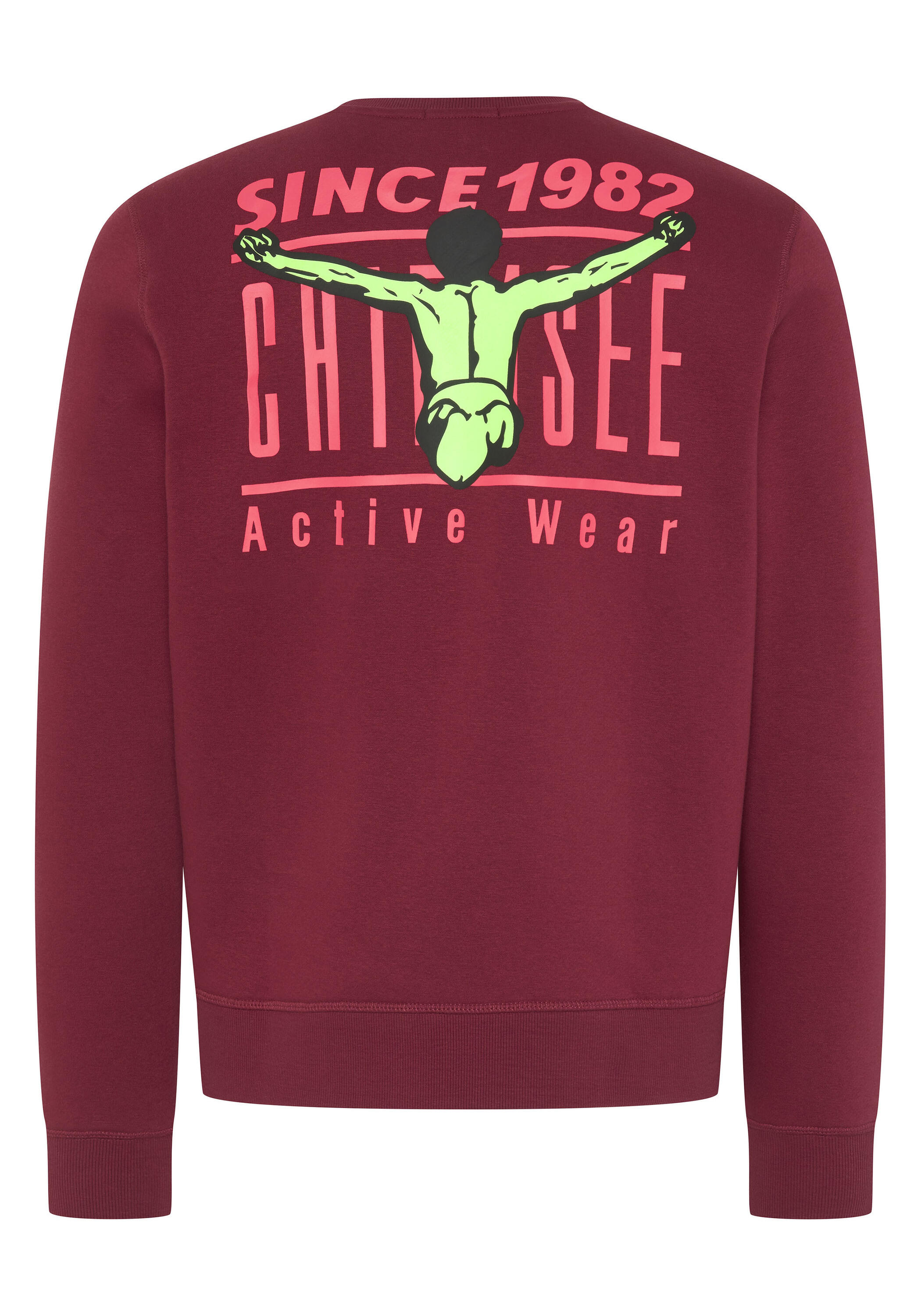 Sweatshirt mit Jumper-Motiven 2/7