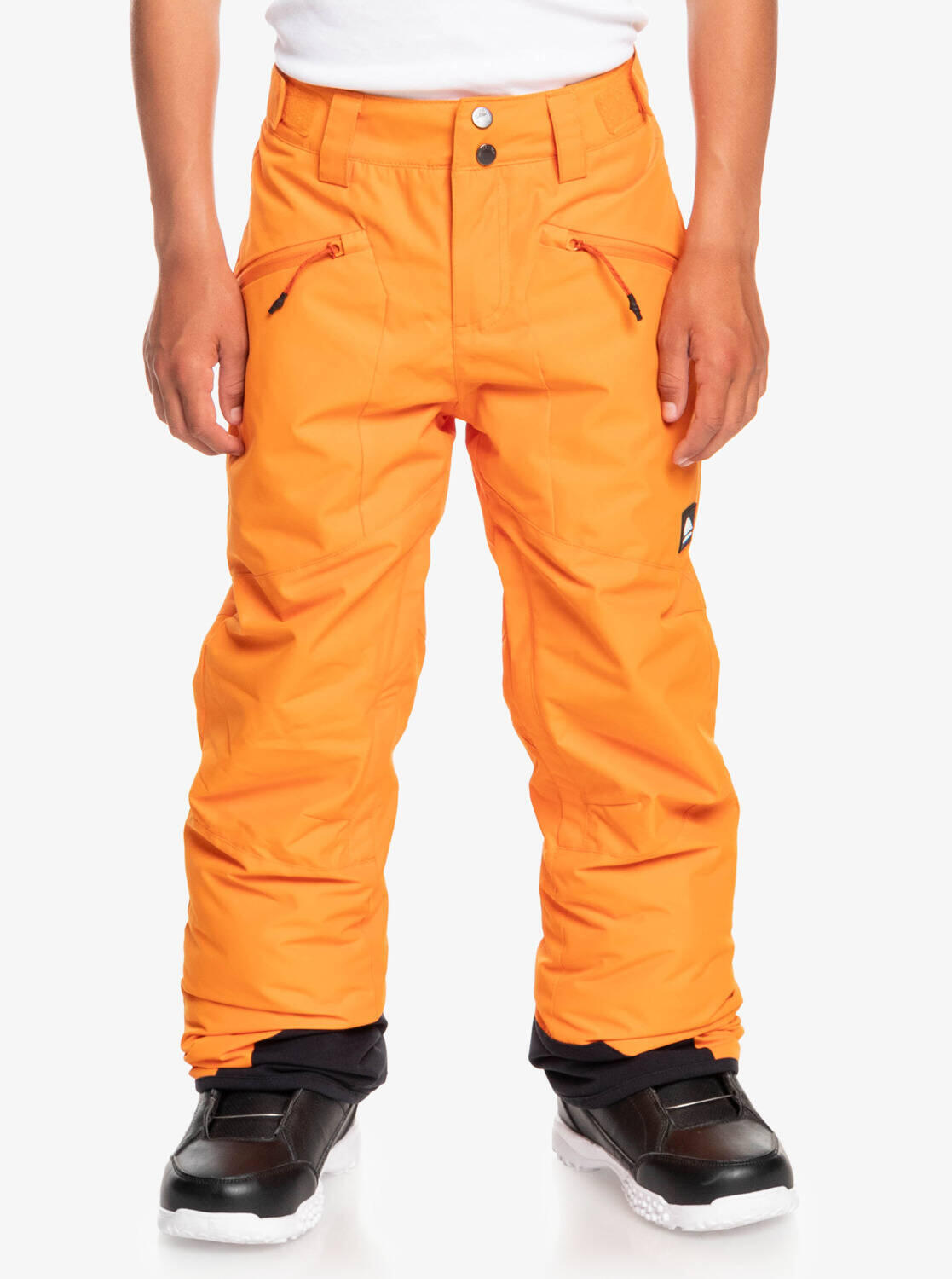 Pantalon de ski pour enfants Quiksilver Boundry Snow 10K 5/5