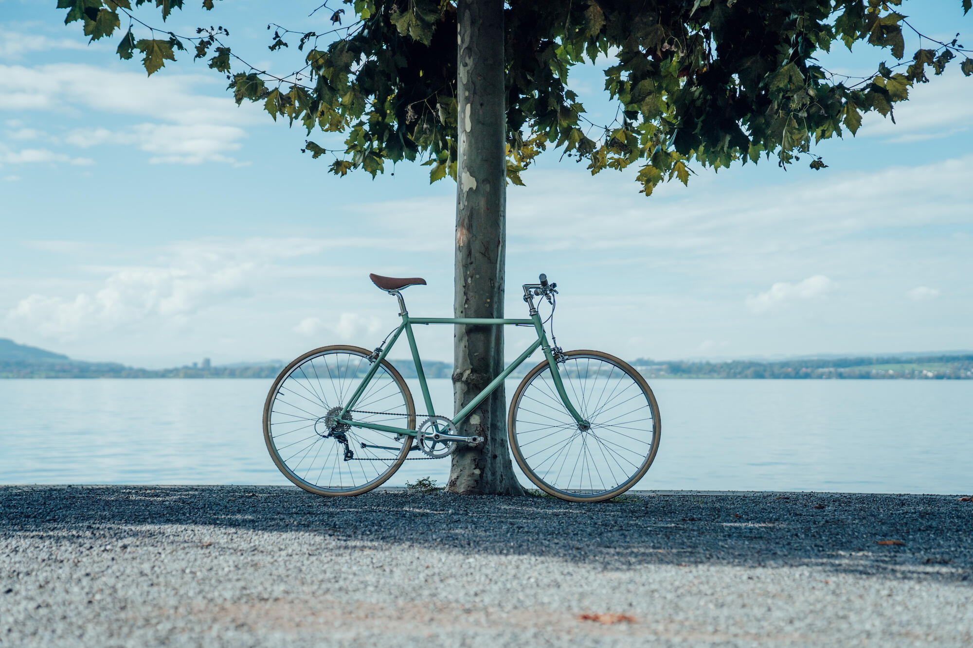 Urban (8 Speed) 4/4