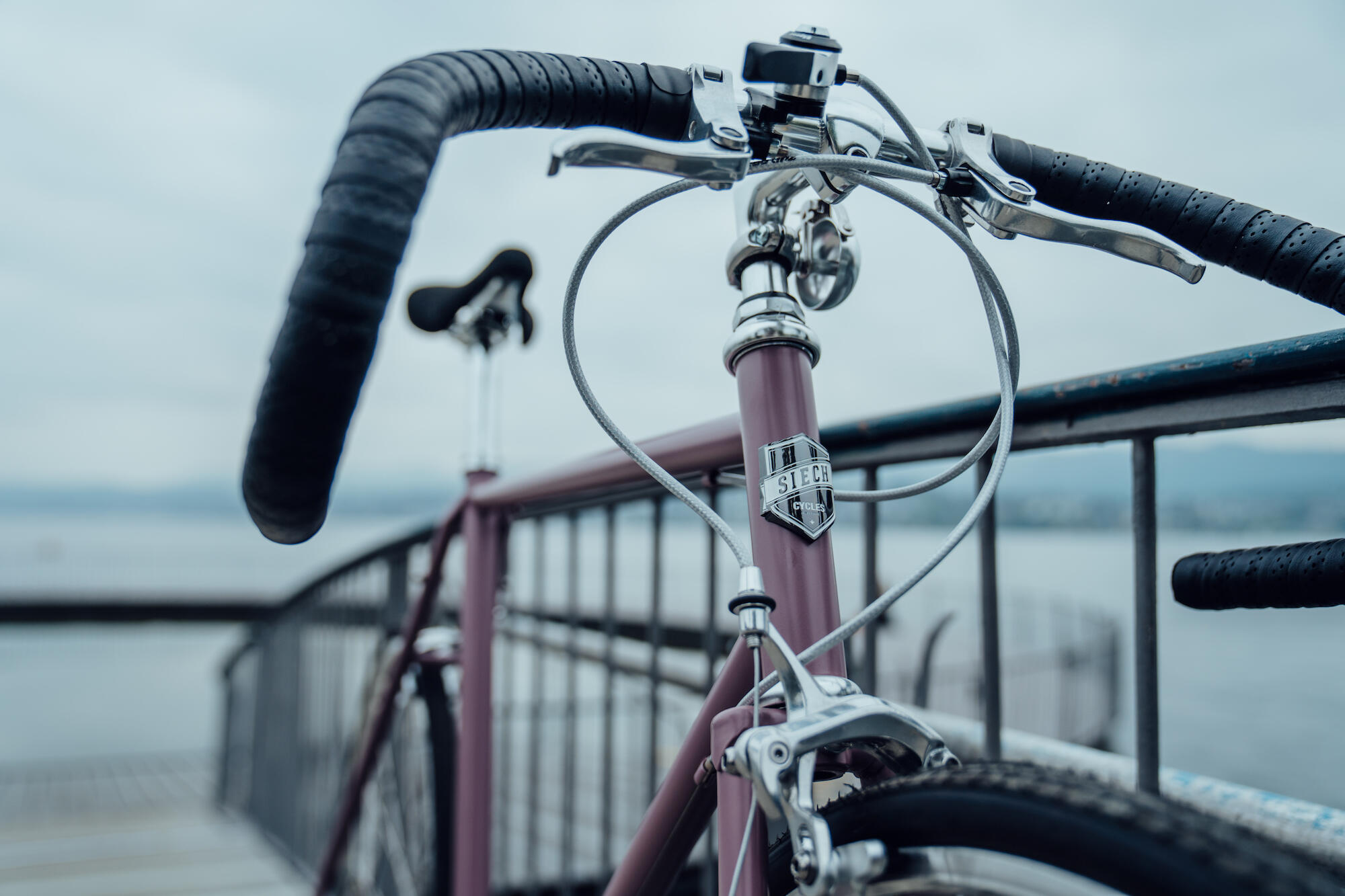Race (8 Speed) 3/4