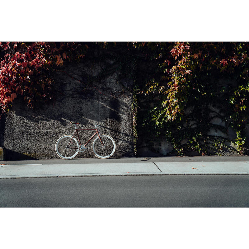 Fixie Bike Brown