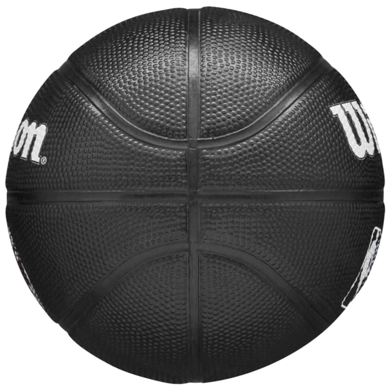 Ballon de basket Team Tribute Toronto Raptors Mini Ball 4/4