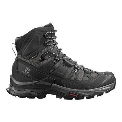 Herren trekking Schuh Salomon Quest 4D 4 Gtx