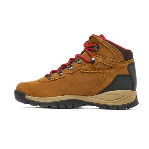 Buty do chodzenia damskie Columbia Newton Ridge Plus Waterproof Amped