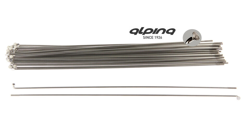 Alpina Spaken rvs 13-255 zonder nippel 1/1