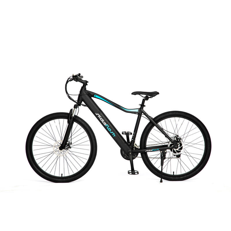 Bicicleta eléctrica mountain Bike Skateflash Duster 250w