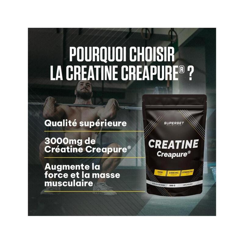 CREATINE MONOHYDRATE CREAPURE® (500G) |