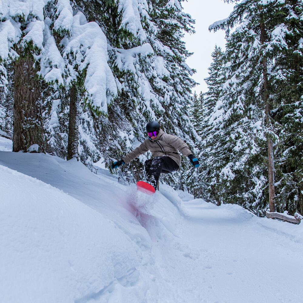 Freeride Skihandschuh Bene | KinetiXx 3/7