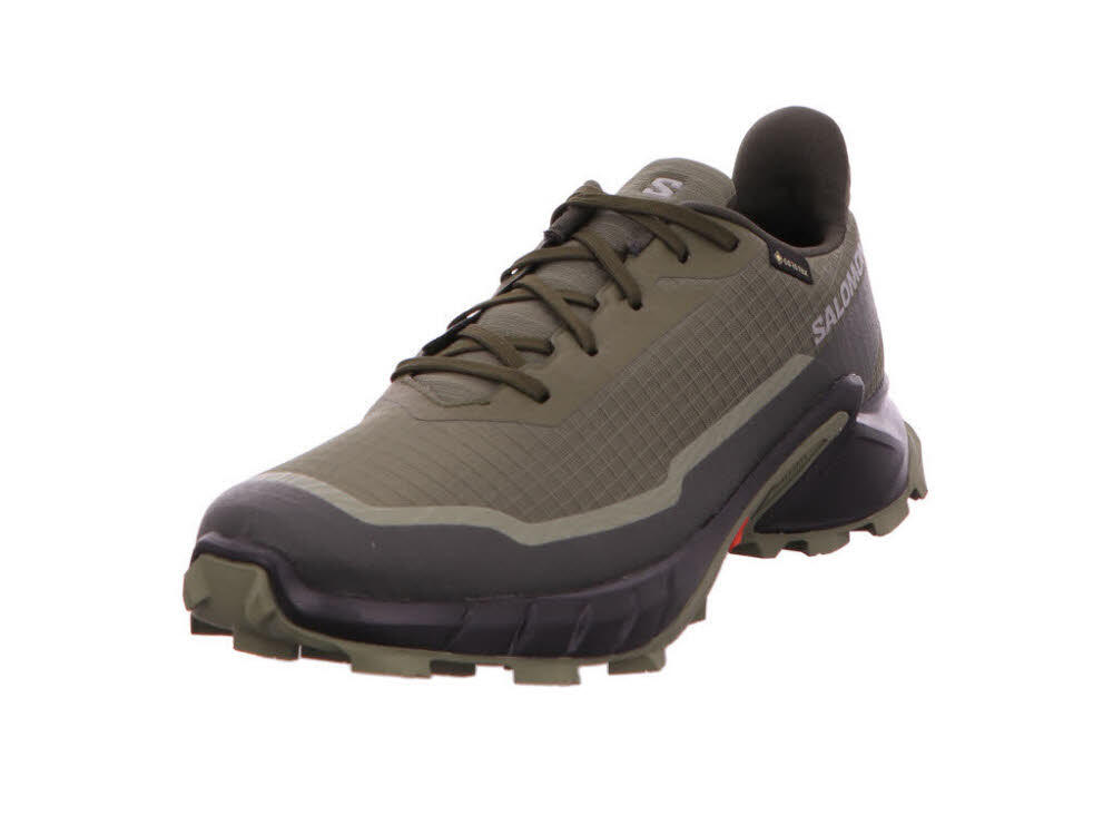 SALOMON Wanderschuh ALPHACROSS 5 GTX