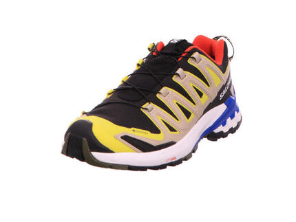 Outdoorschuh XA PRO 3D V9 GTX