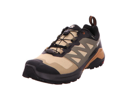 Chaussures de randonnée Homme X Adventure Gtx