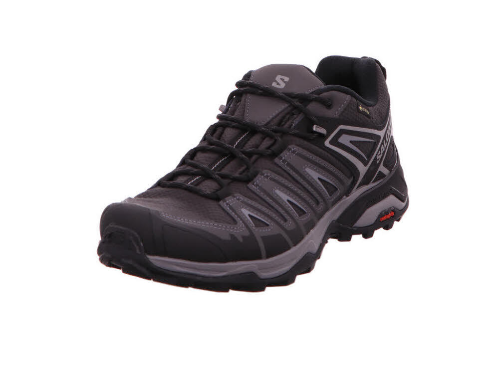 SALOMON Wanderschuh X ULTRA PIONEER GTX