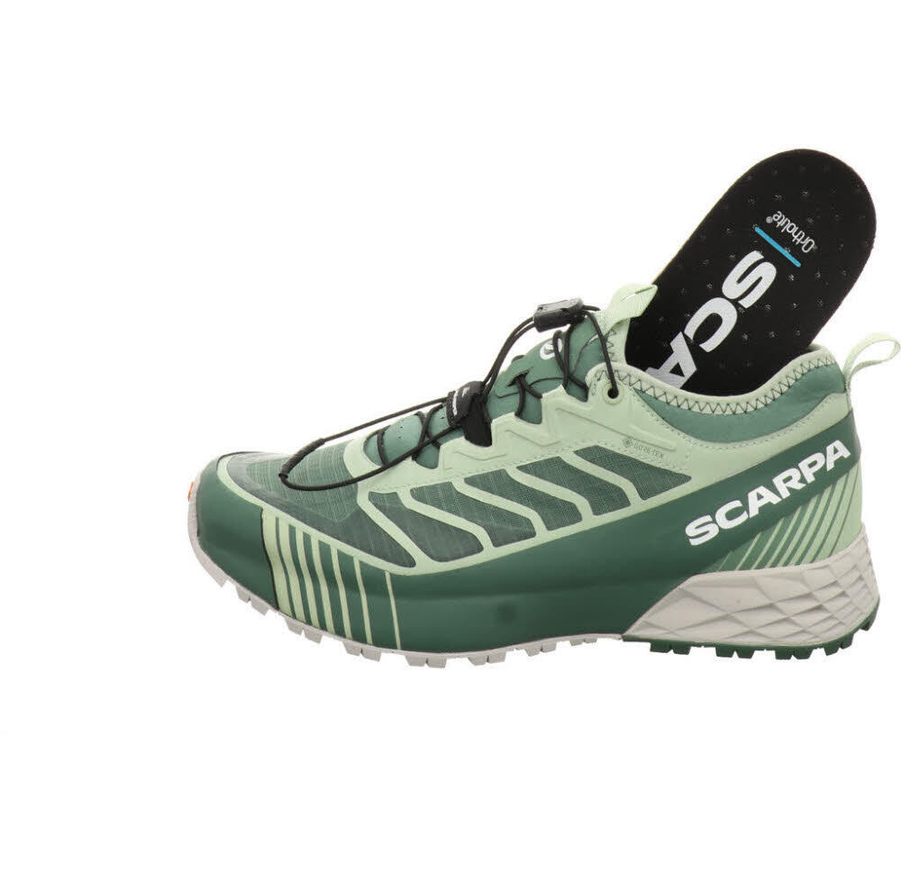 Outdoorschuh Ribelle Run GTX Lady 6/6