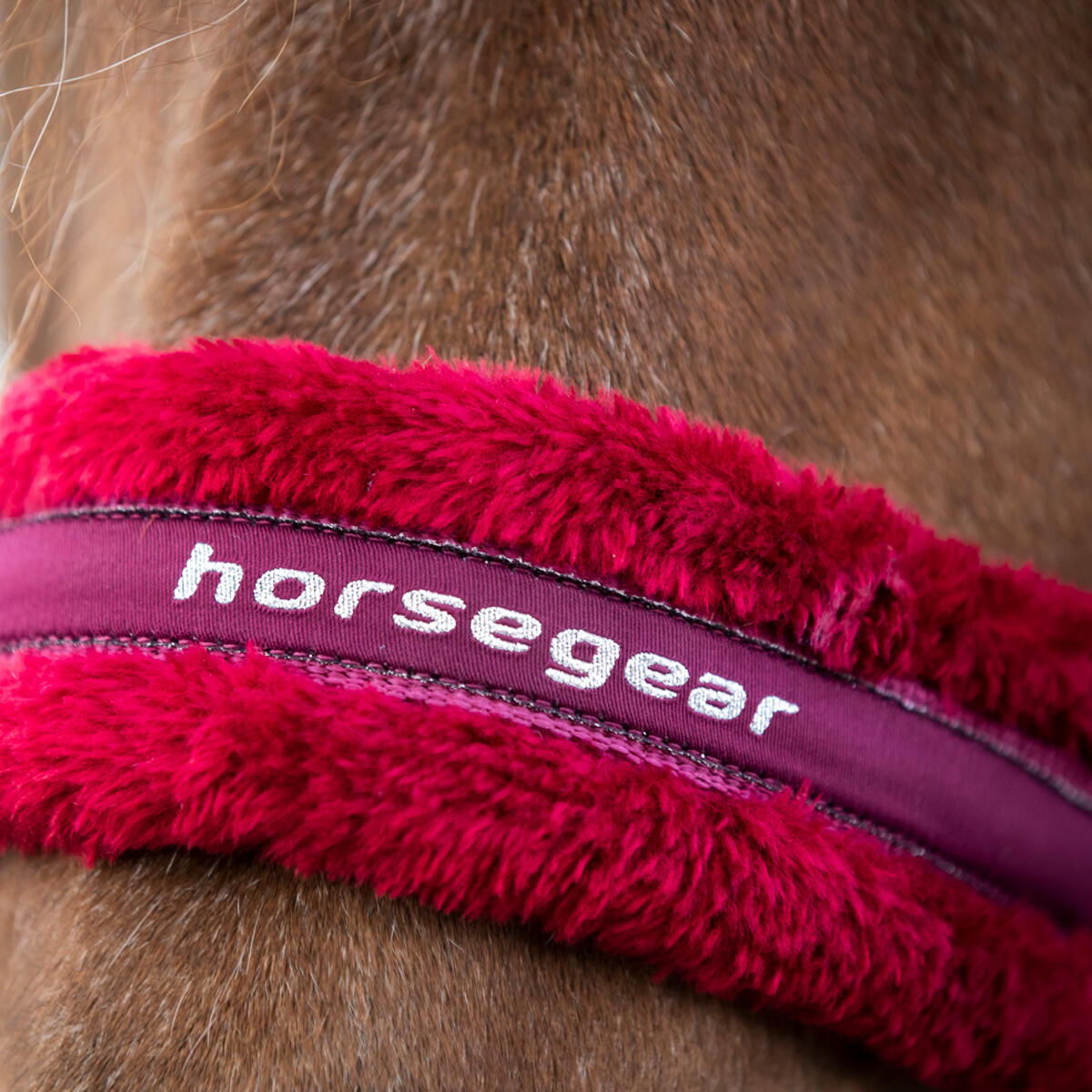 Halsterset Horsegear Reno Donkerrood 3/3