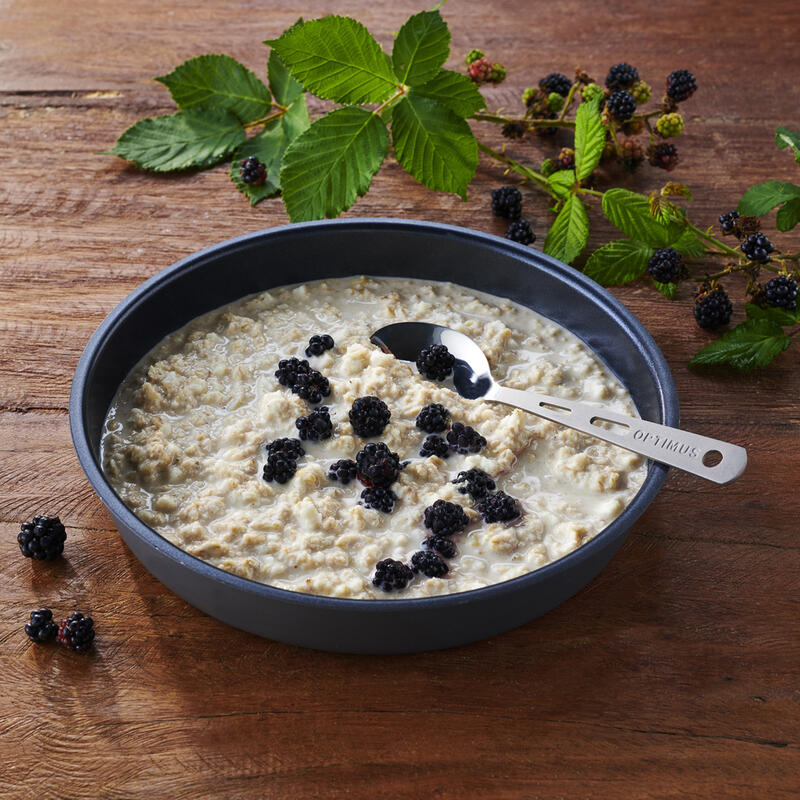 3x Porridge Flocons d'avoine Nourriture de trekking Ration Outdoor végétarienne