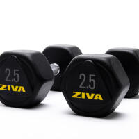 Mancuernas hexagonales de acero ZIVA performance 2.5 kg Decathlon