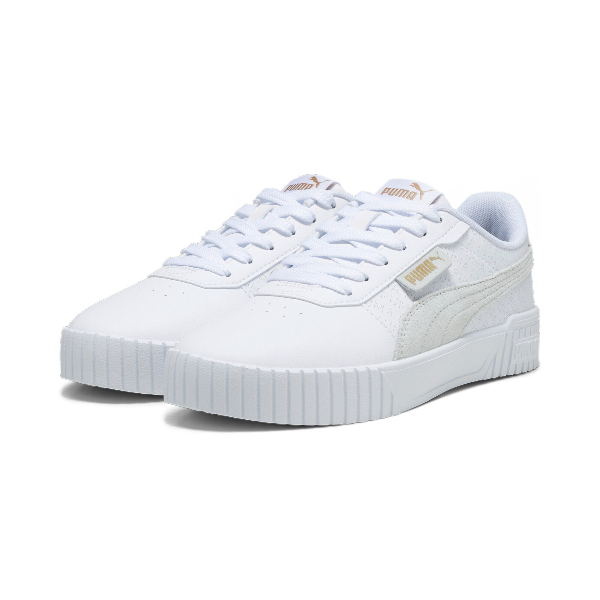 PUMA picture
