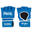 Gants de MMA entraînement Lonsdale Harlton