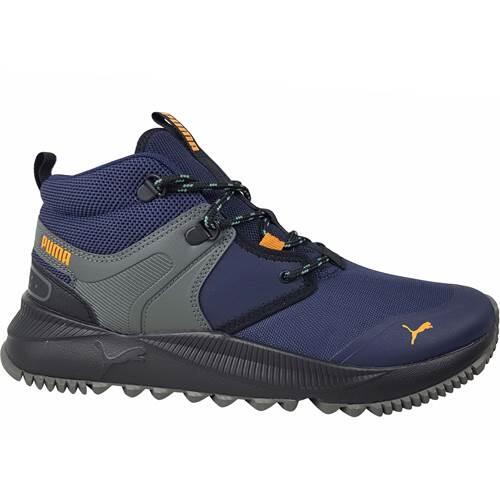 PUMA picture