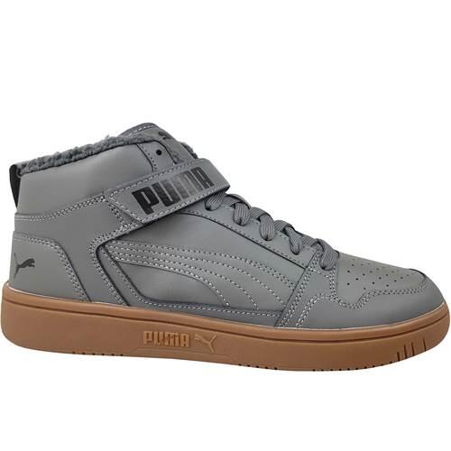 PUMA picture