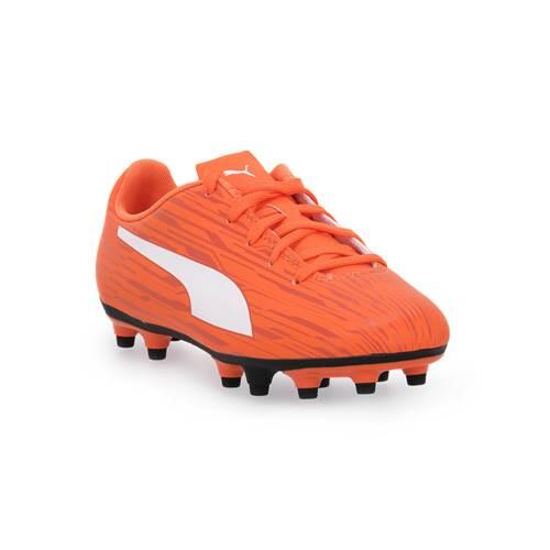 PUMA picture
