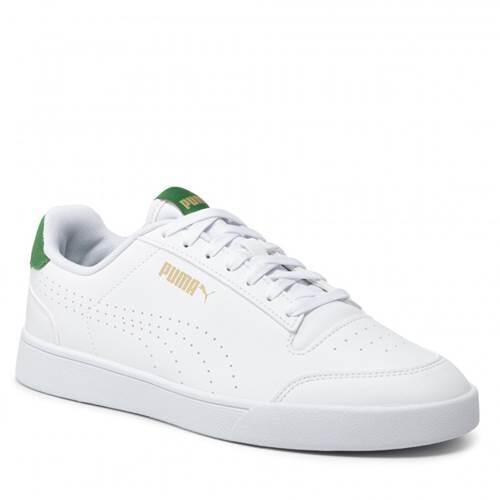 PUMA picture