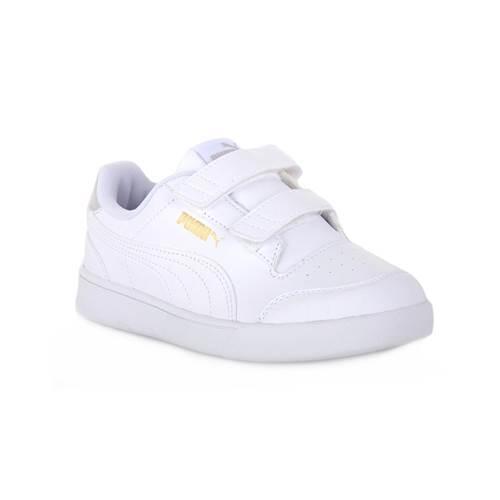 PUMA picture