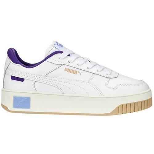 PUMA picture