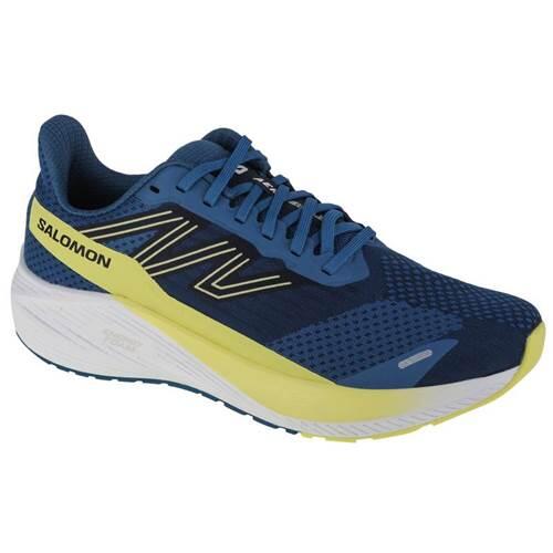 SALOMON picture