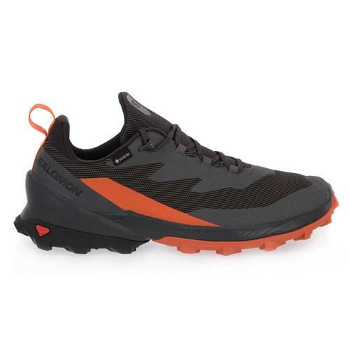 SALOMON picture