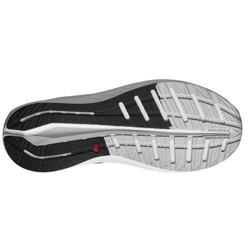 Schoenen om hard te lopen voor heren Salomon Aero Blaze 5/5