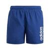 Sportswear Essentials Logo CLX Zwemshort Kids