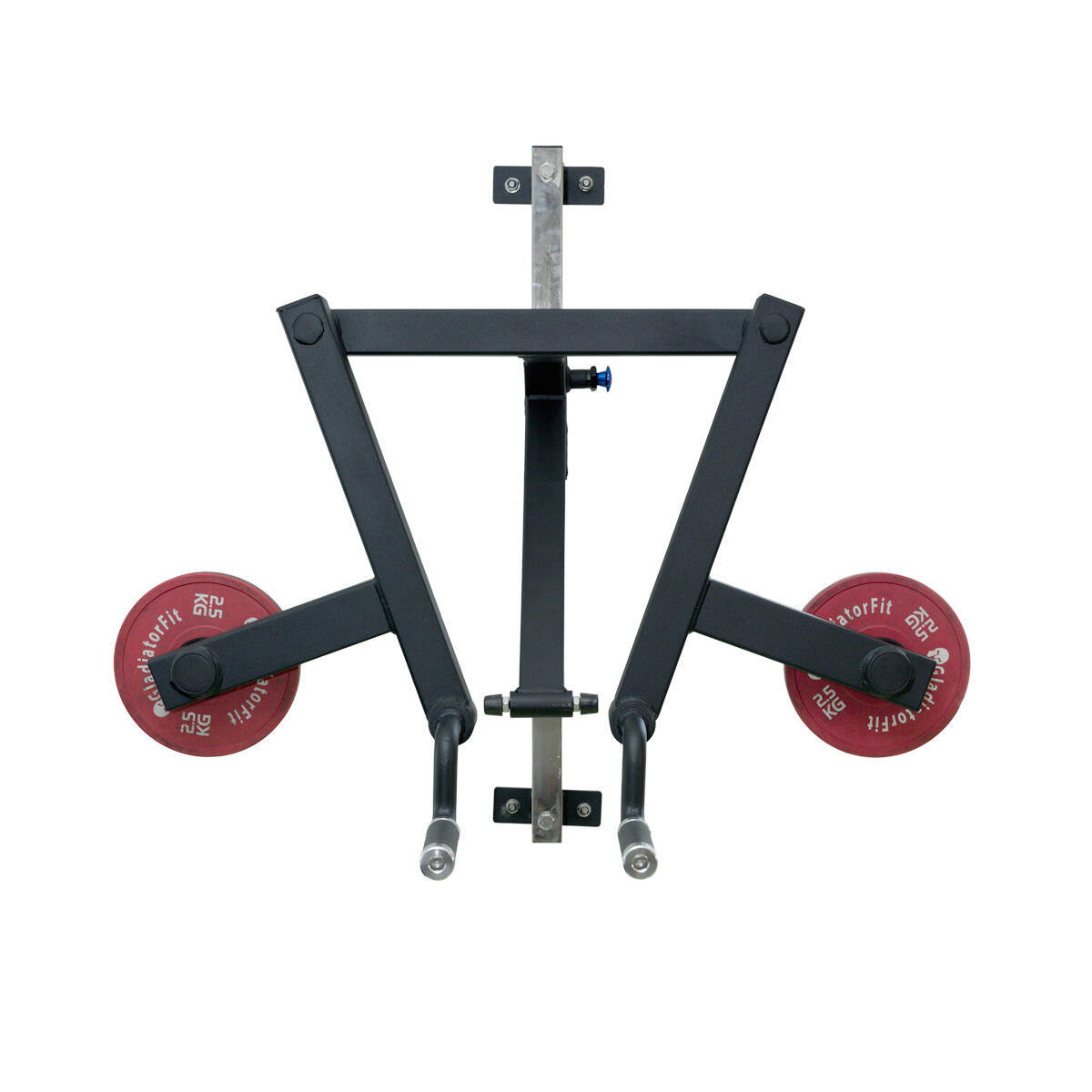 Lateral Shoulder Raise Machine" Station 5/5