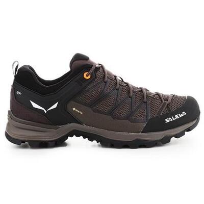 Trekking-Schuhe Mann Salewa Mtn Lite Schwarz