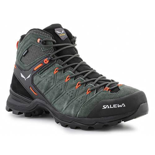 SALEWA picture