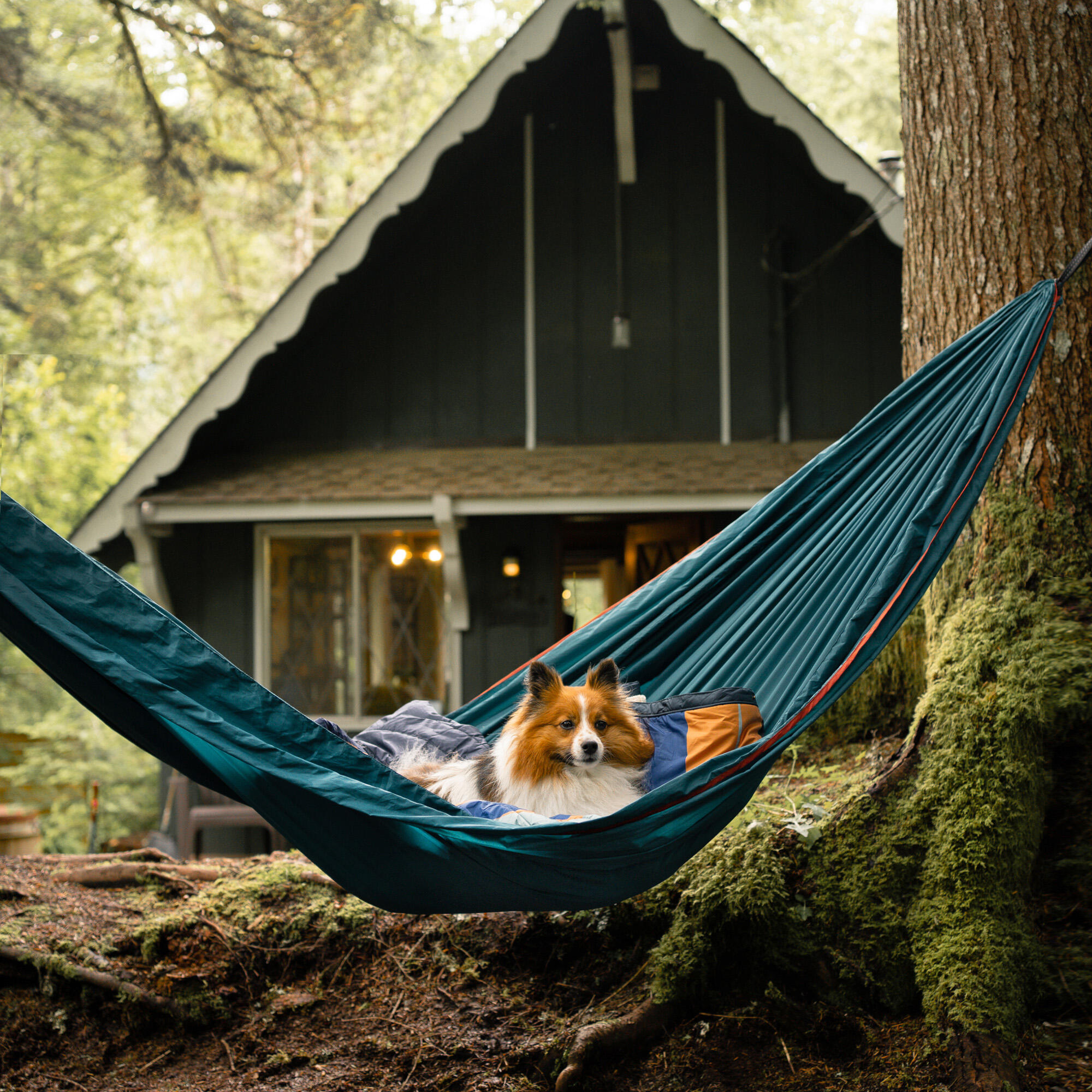 Grand Trunk TrunkTech Double Hammock 4/4