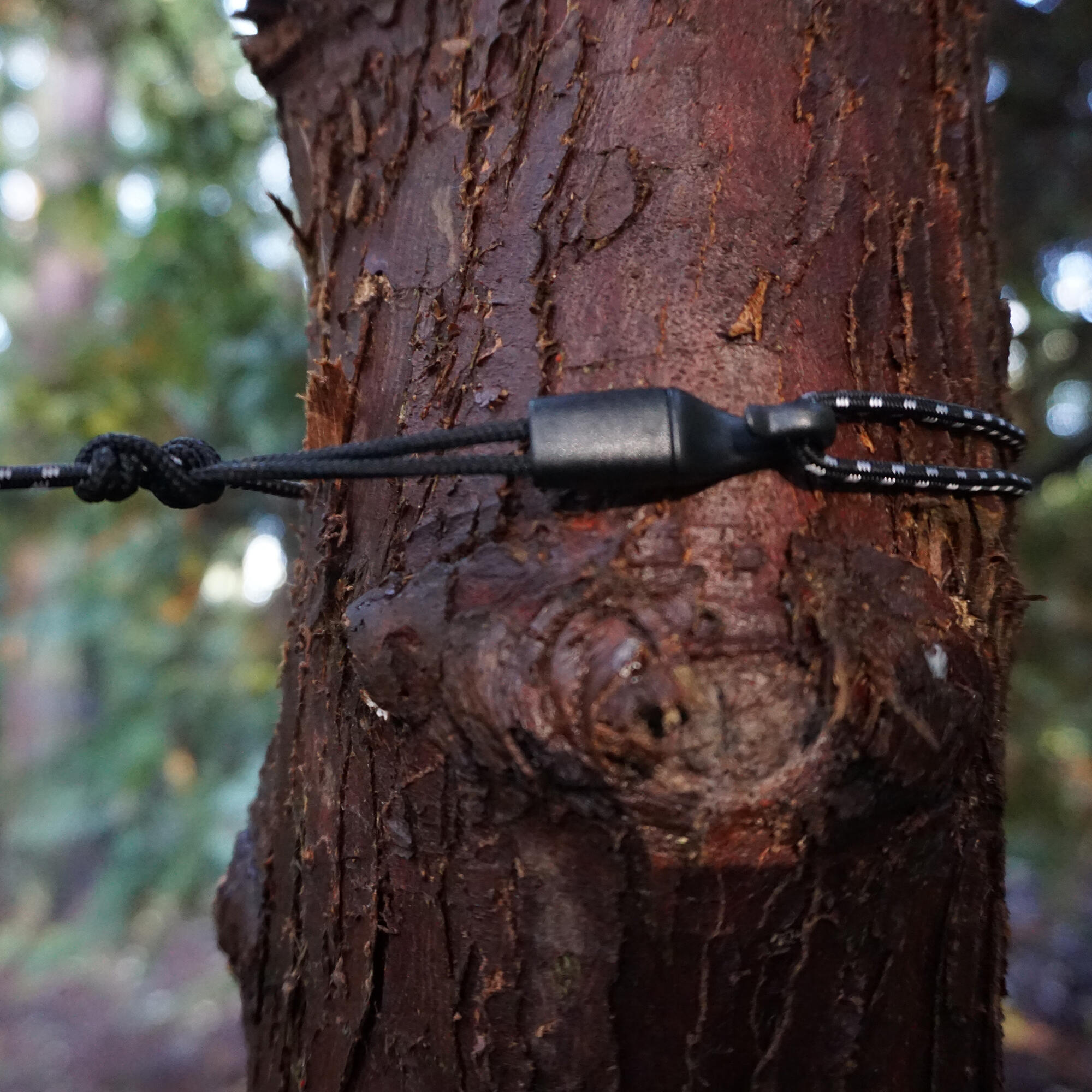 Moskitiera do hamaka Grand Trunk Mozzy 360 6/7