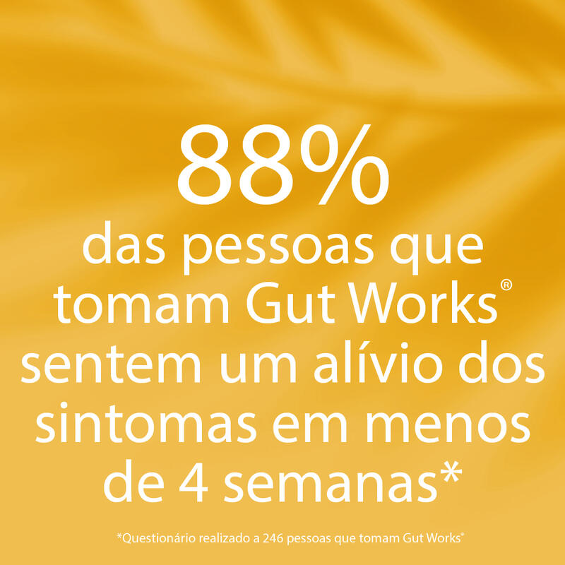 DR.VEGAN Gut Works® | Pré e Probiótico | Uma por dia