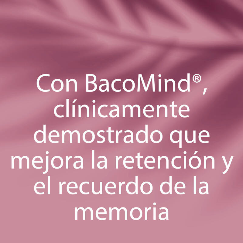 DR.VEGAN Brain Fuel  | Memoria y concentración | Una cápsula al día