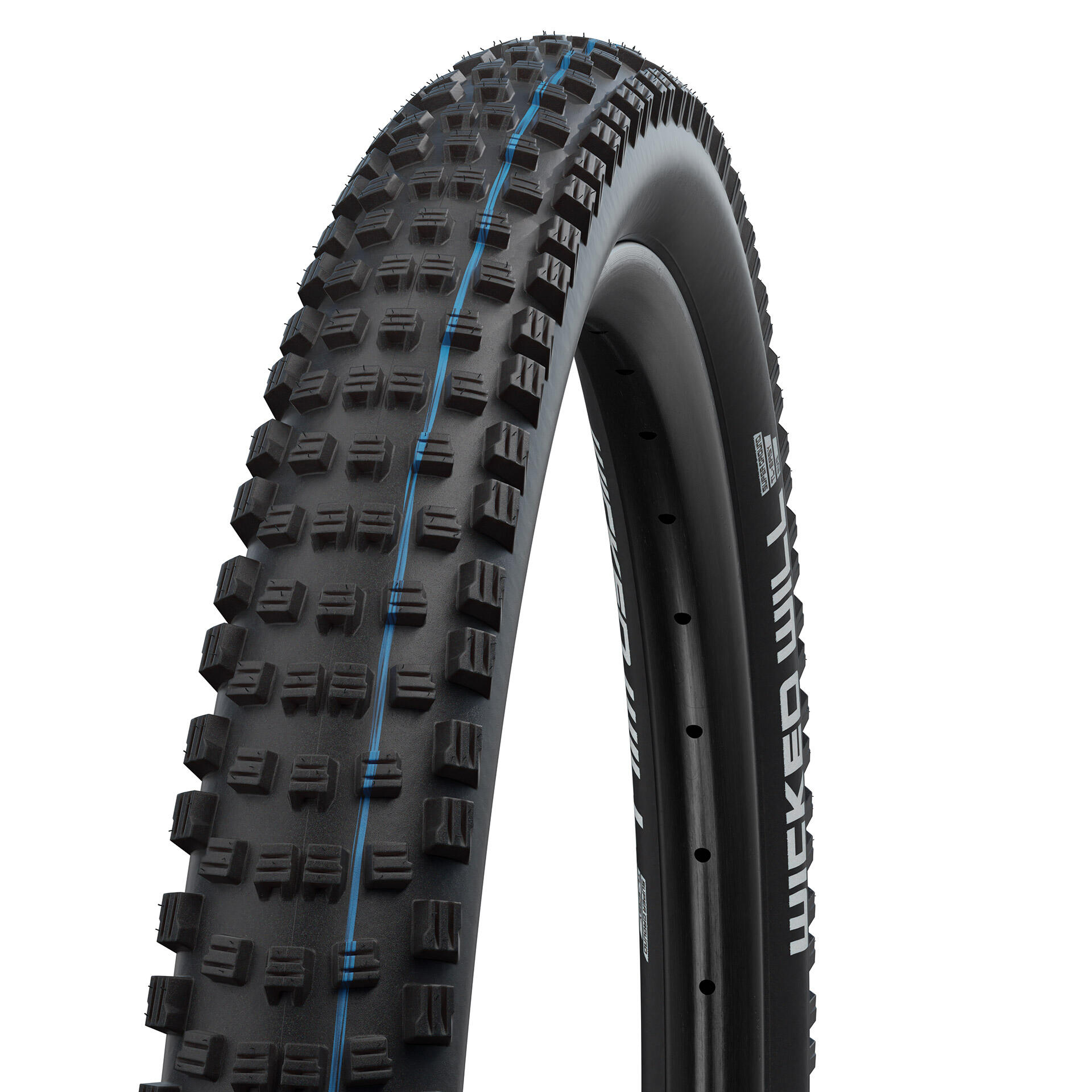 SCHWALBE picture