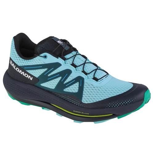 SALOMON picture